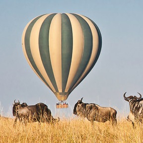 Serengeti Balloon Safari