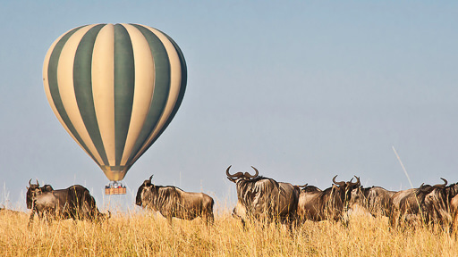 Meraviglie della Tanzania