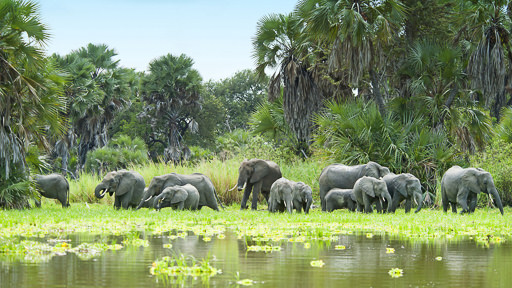 Tesori della Tanzania