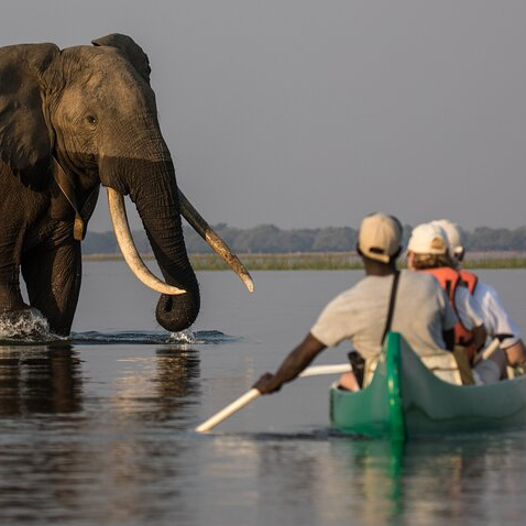 Canoe Tour